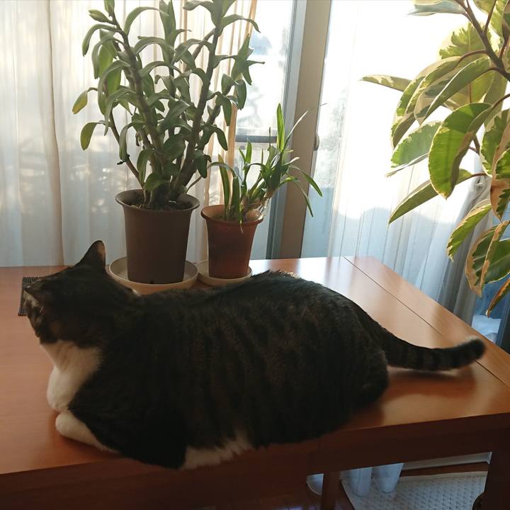 4a633905 0df6 42cd 8bf8 a201510a1d32 1543280939472