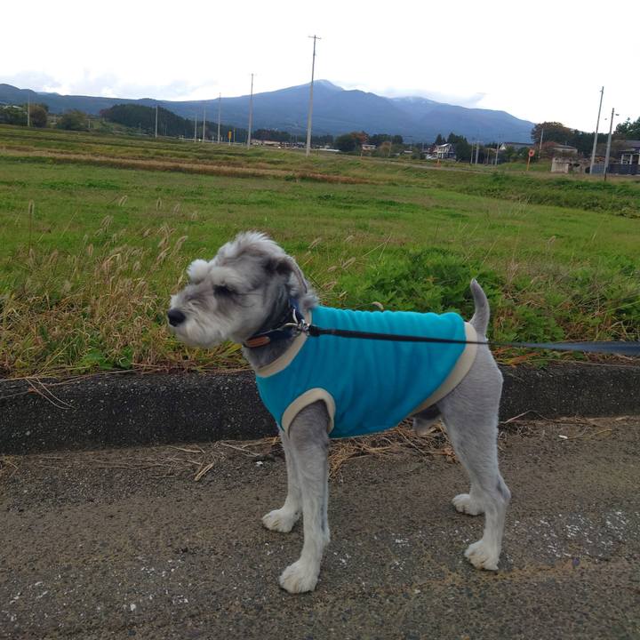 4a6345e6 7c12 4bbf 9ee1 e2496aa6e347 1762123141783