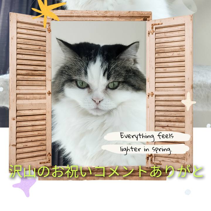 4a638475 7f99 456d 9906 4b8976fd1be6 1773373967229