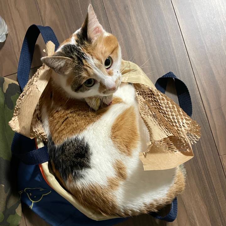 4a63a37e 4336 4d73 b52f b6a408fbceb7 1648725842400