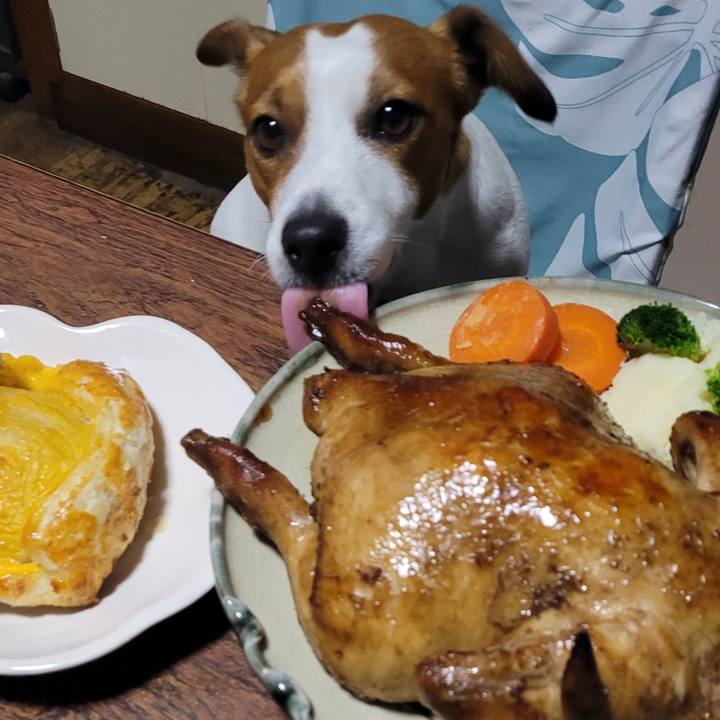 4a63a73f a435 45c2 b4bc cd25c57e1977 1703462362813