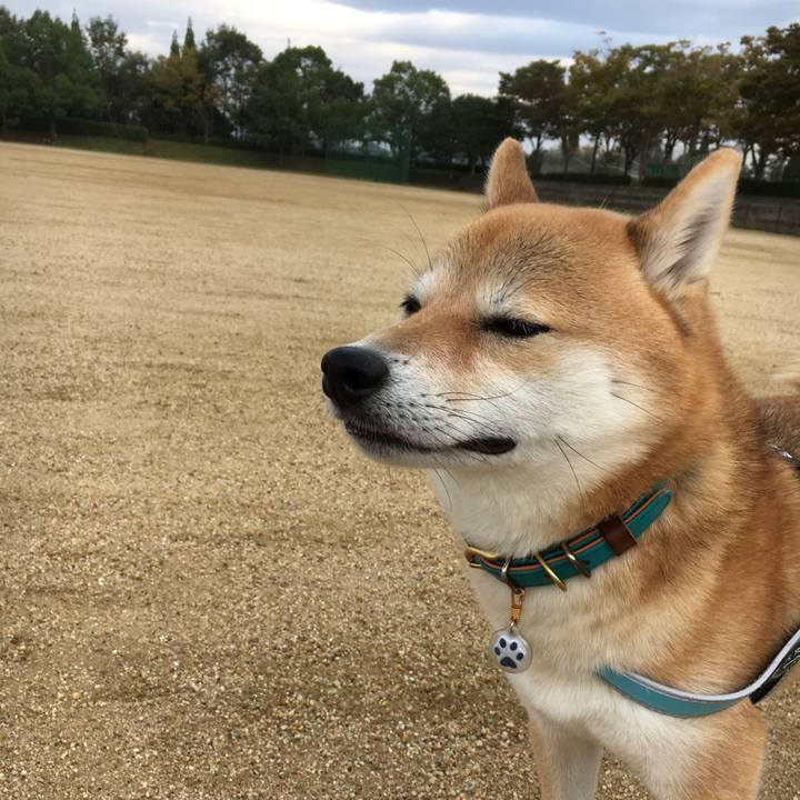 4a63d647 28b4 470b 8393 9df94029e96e 1541474813790