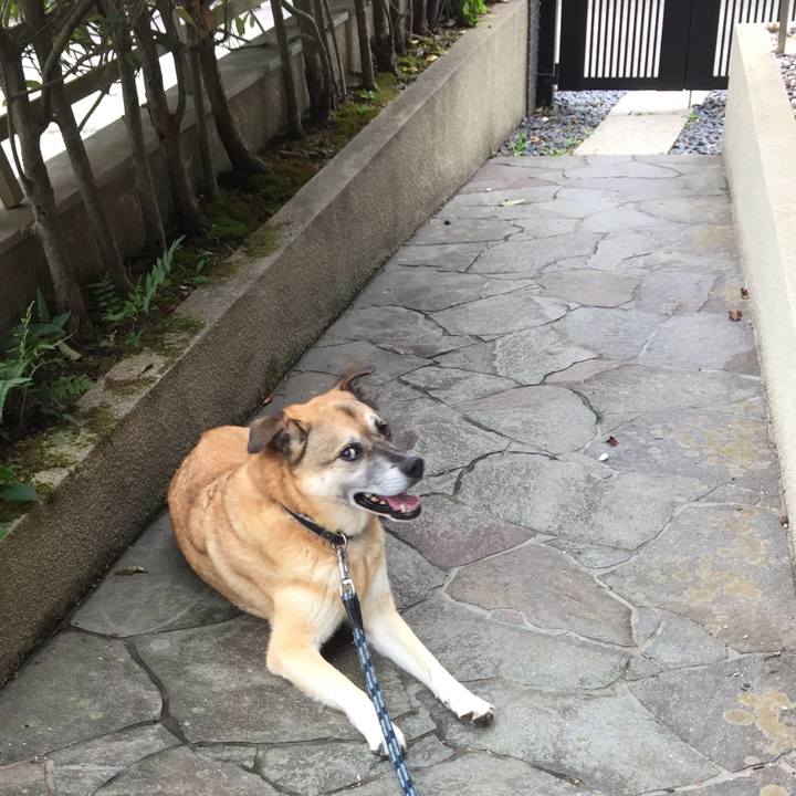 4a63e03f 114c 46be bf59 52a3d371b94c 1537180168703