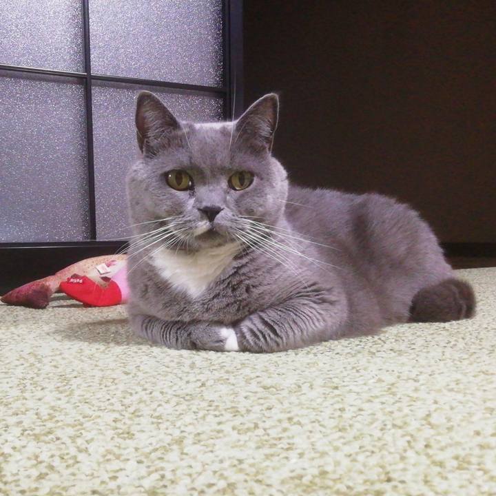 4a641dbc 57dc 4b71 a987 167710fb4fbc 1665546590189