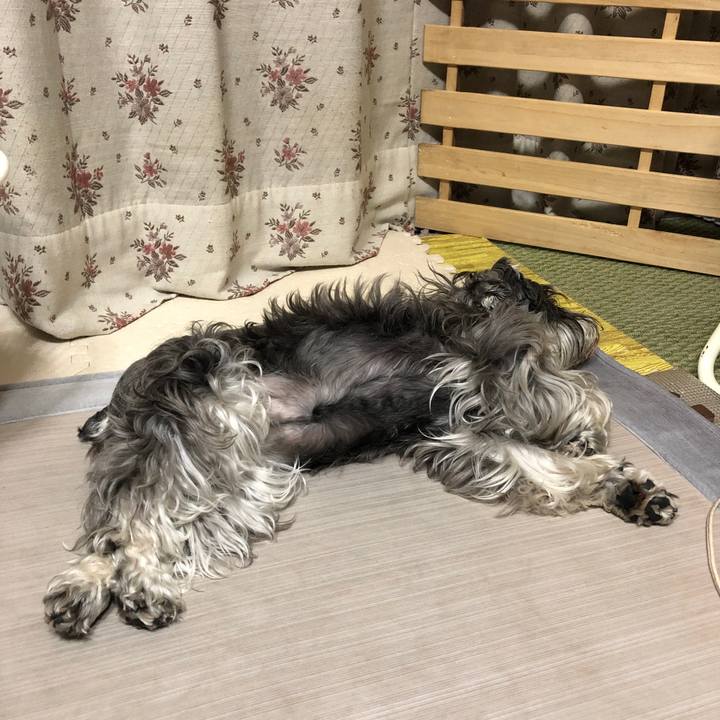 4a64451d 2ec0 4f65 9d99 cbee17fa21cb 1623416031890