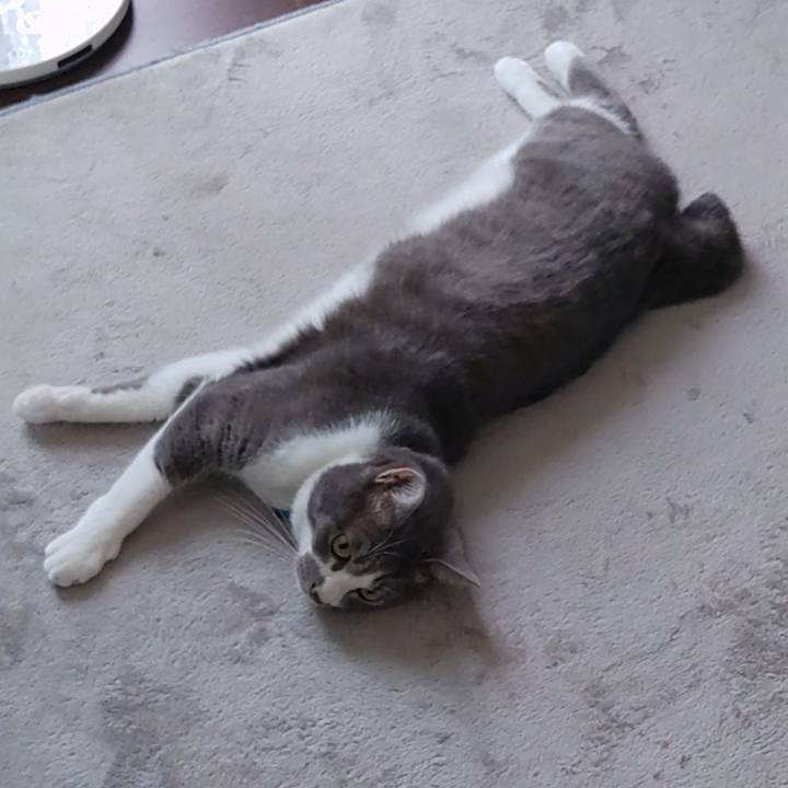 4a645a9f 3945 48da 9c52 e6bff169e5ee 1657339868817