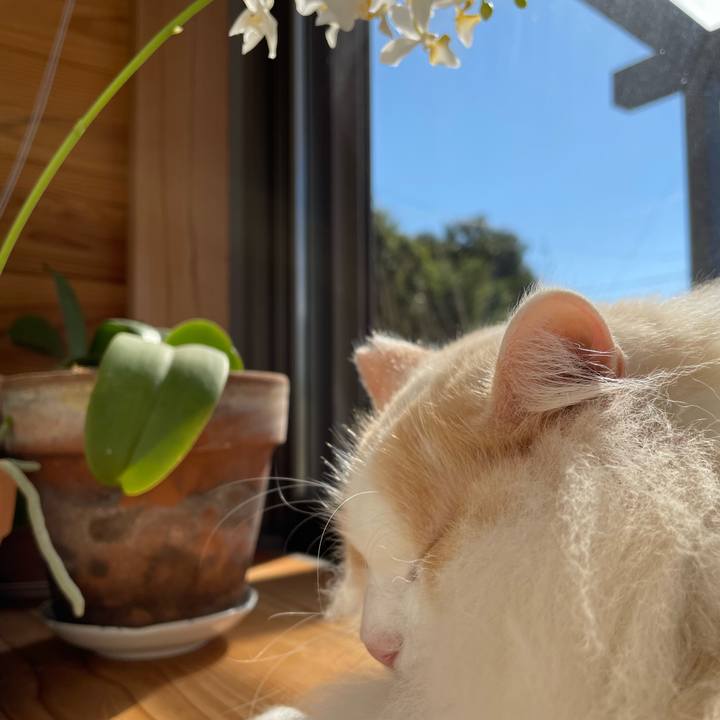 4a6474de 6e73 4888 9ac9 6301f93b5bfe 1636234536432