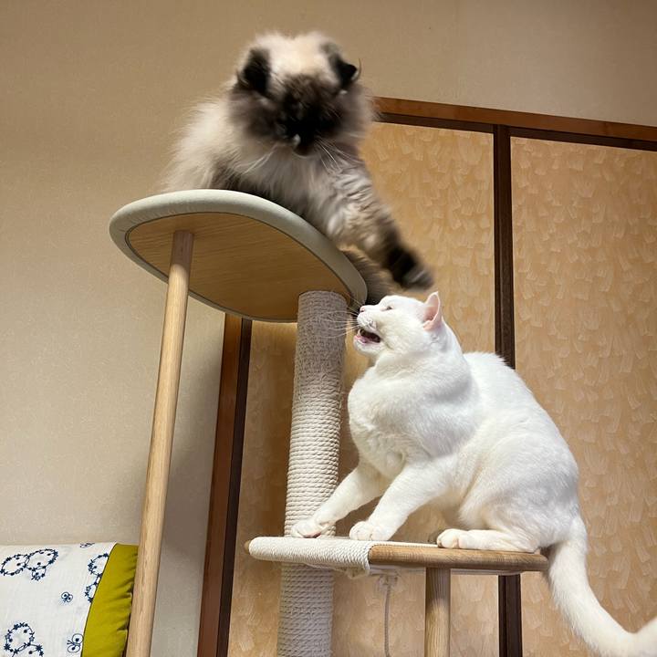 4a64757b 9df4 431c b3f7 e7721e11948a 1714661403548