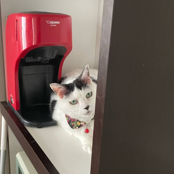 4a64d0fd a941 4963 a8d4 cfad394b1978 1656041091252