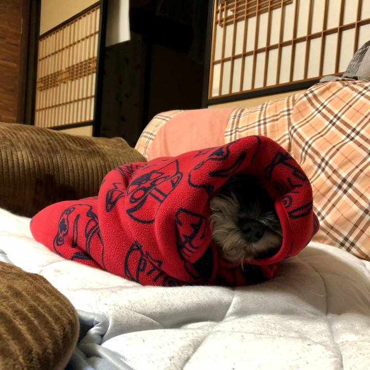 4a64ed87 0265 4f31 ab84 e87b6645a49a 1636719268197