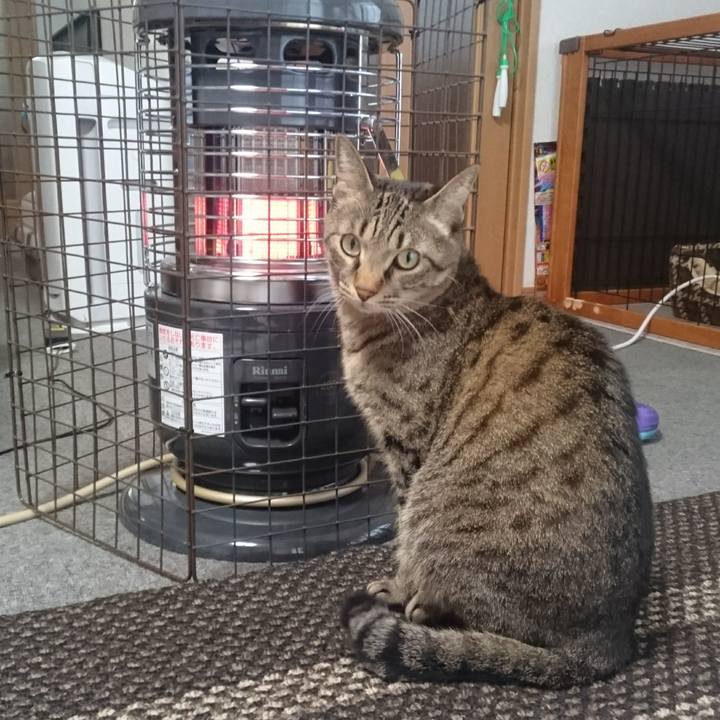 4a653837 7f50 40e4 9153 54cbf2c2d18a 1508367227056