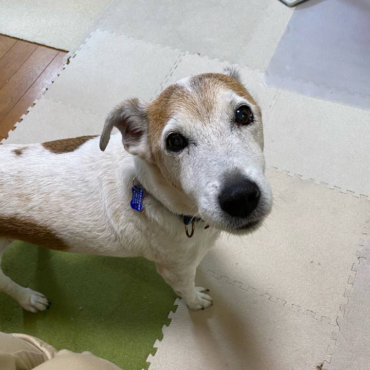 4a6541ee 742d 4c78 9b87 919af250f298 1633991391335