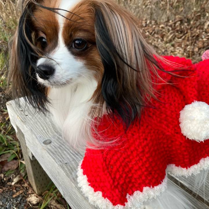 4a6564c2 7b19 44c6 ab01 31d29163537c 1639561587997