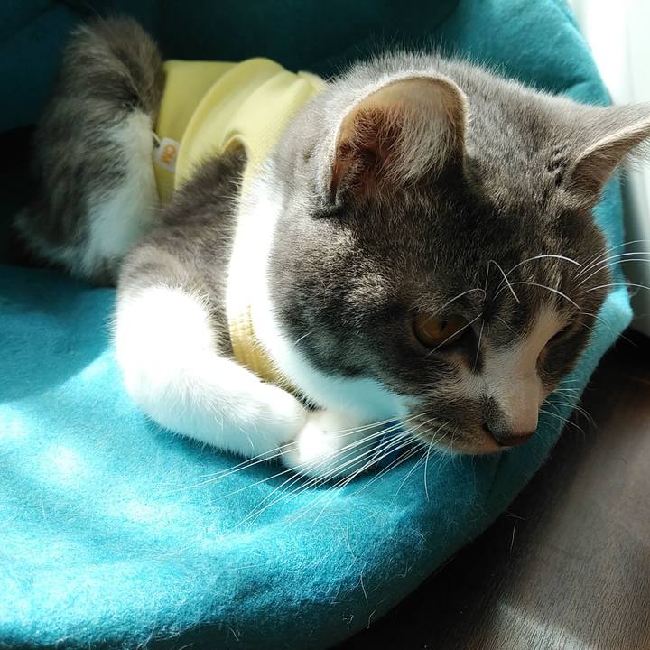 4a6579a8 f61e 4847 9dd3 34345a33e1df 1585193222067