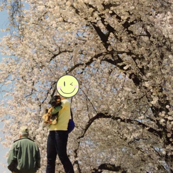 4a65ef76 91b7 4d4b 934c 70d7babeda12 1522056667514