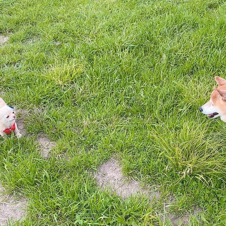 4a660378 f942 4b6f 961b 16f05ac8bce9 1619078291845