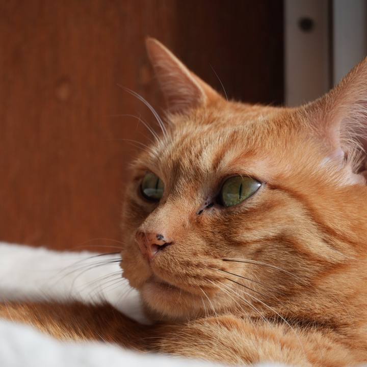 4a661367 fe74 4e7a 96fb ababb3e39a54 1742079781864