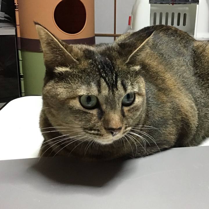 4a665fca fc2c 4df5 87de dfcd179b56f1 1669637780220