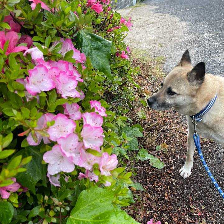 4a6677a1 750e 442d ac82 ea4e4bb997e5 1653567988123