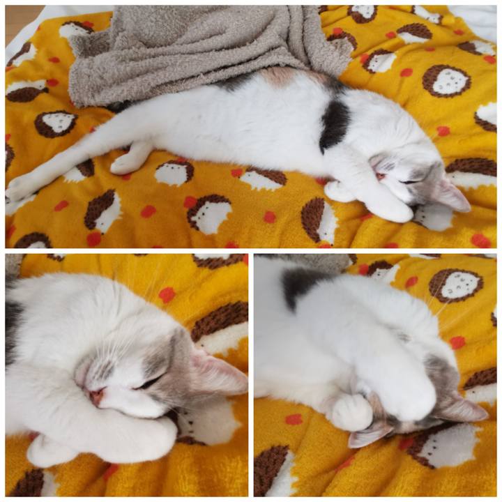 4a66bdb3 8b19 404c 950e ab6a8c039c90 1639884462828