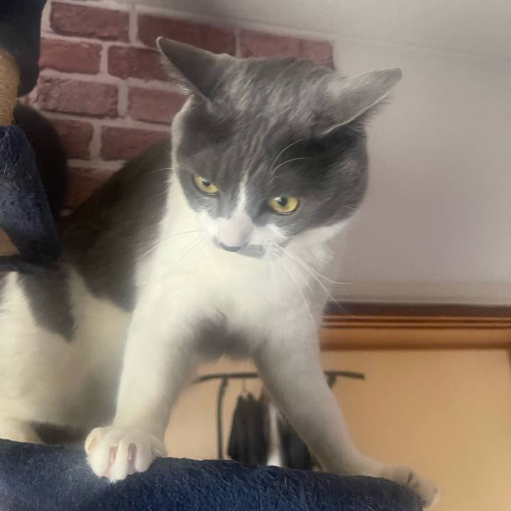 4a66be85 54d8 4136 aa75 24f730fb7810 1708384904024