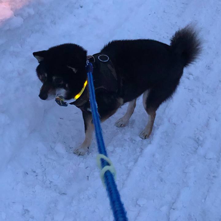 4a66c876 5a8c 48b6 866f 2085c2eea0ae 1549663121696