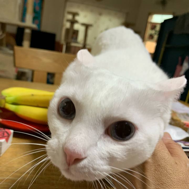 4a66ecd6 0f40 4bb7 8557 492bcd353ed5 1601794068686