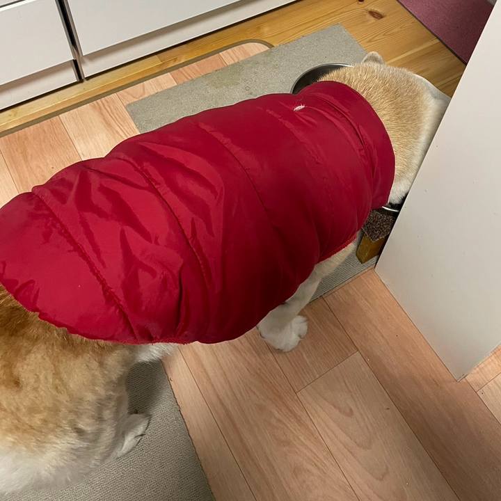 4a6707bd 5698 4f99 8ed8 87a90530d5ce 1705438521222