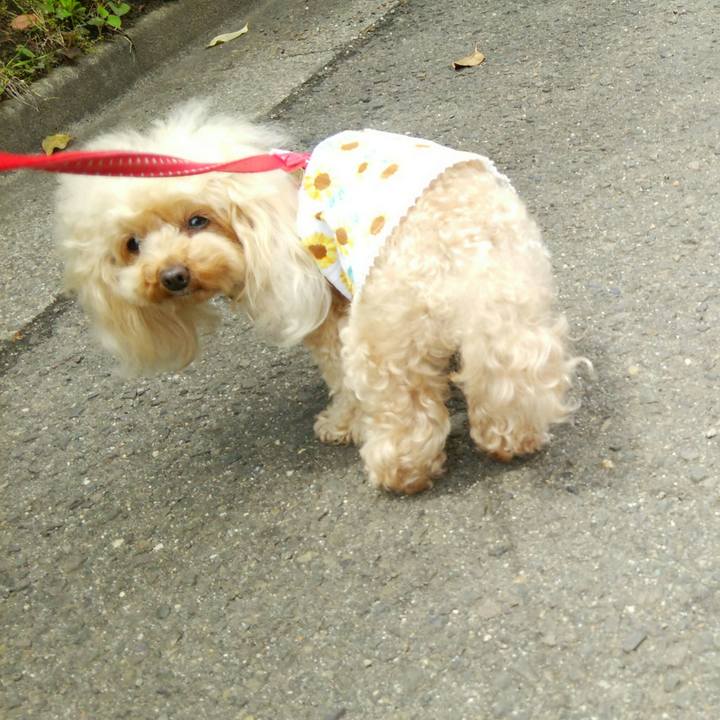 4a670e0d bd46 463a becc 4e8a9b41be5b 1558066177720