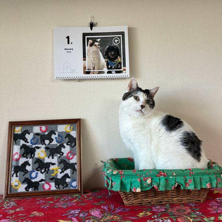 4a6711ac d33a 477c 8d75 579b60a9f08b 1767394729144