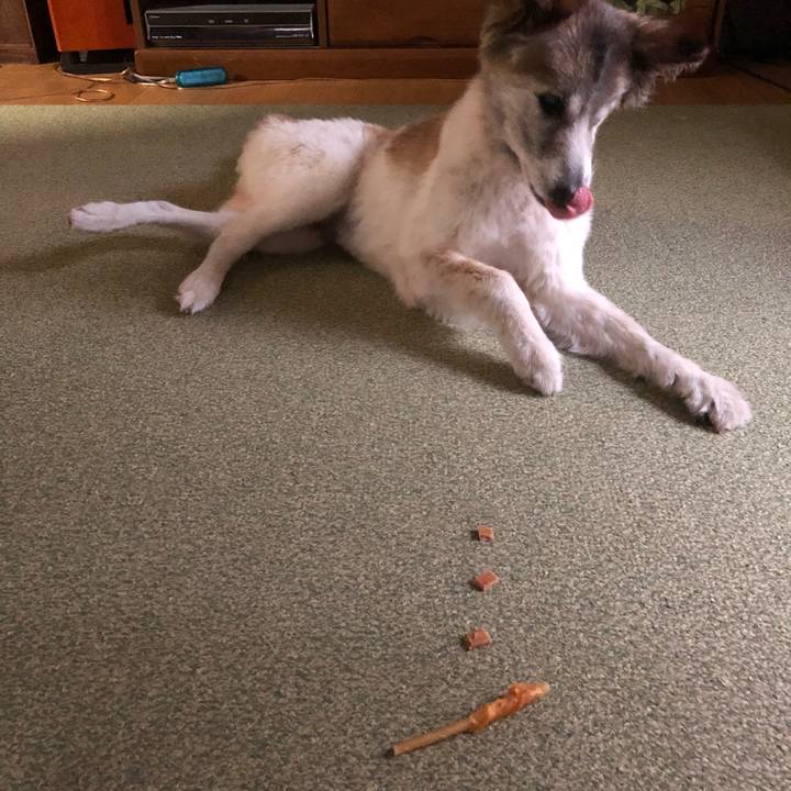 4a672631 4f42 468b b245 5a46a04d518c 1535443256154