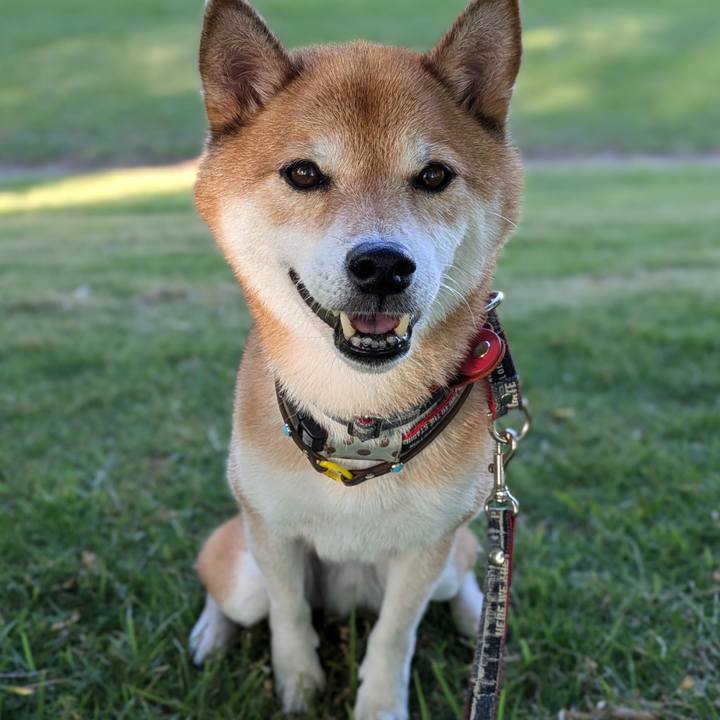 4a67330e ac22 4ef8 9441 f510f1eb39a3 1723333668043