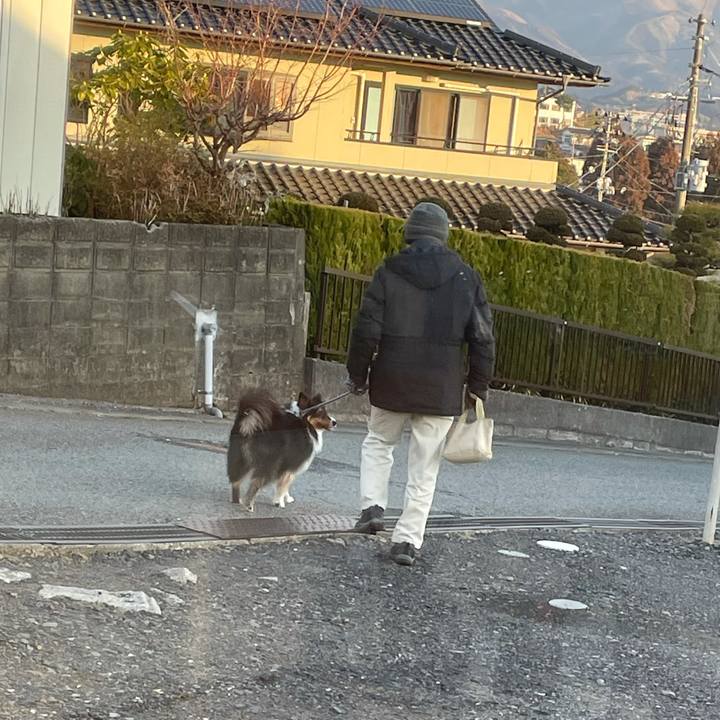 4a673788 fcbd 48e9 9125 deeac914a95b 1614894514499