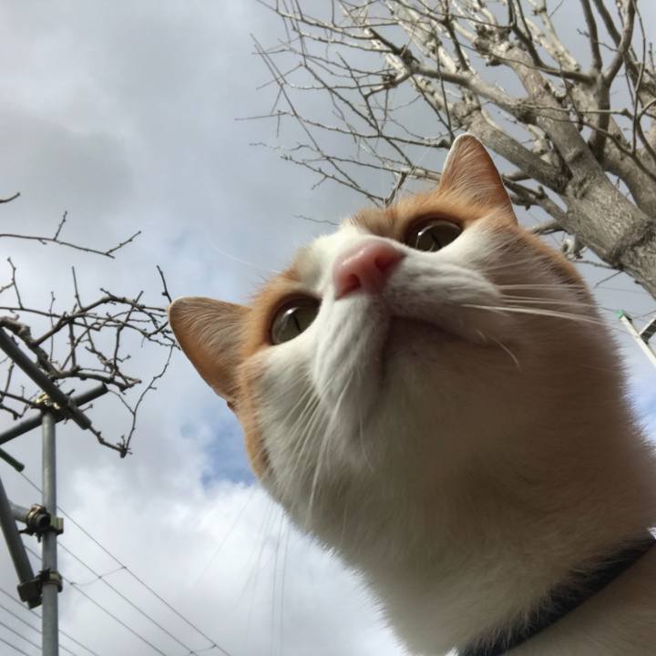 4a677fdf 8b09 4ec8 9e9a e470c525991b 1521777635728