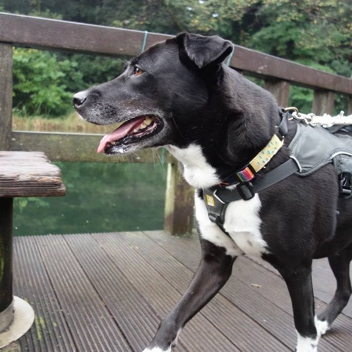 4a679100 ec3b 4275 b98b 543a5804cff0 1665190856055