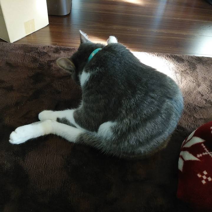 4a67e637 c541 487e bd2c fb6e3c23e773 1581639737240