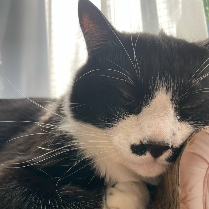 4a67e8e8 650f 4cd1 85d3 b7c27334a069 1682636295983