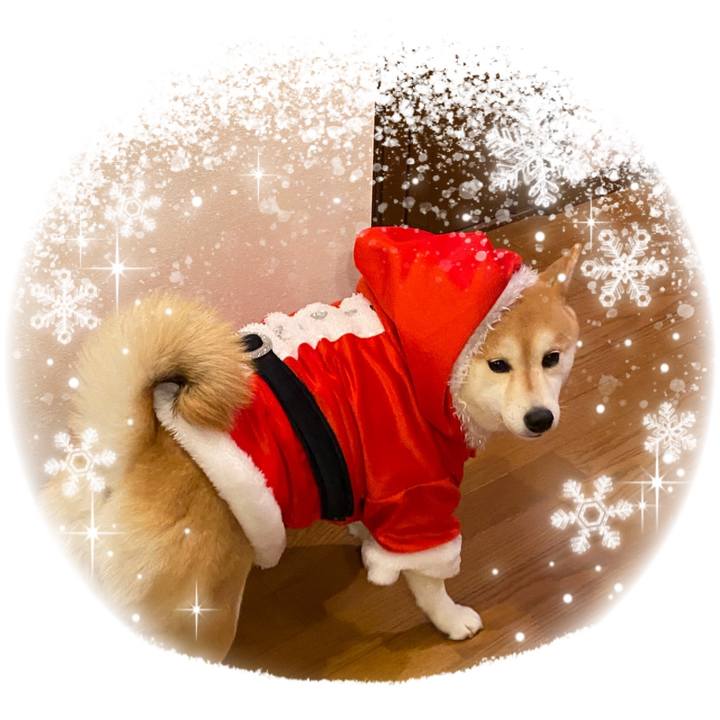 4a67ec4d a9d1 4bdc 84da 152da57eb709 1577193543420