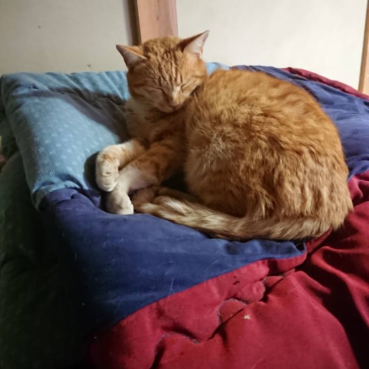 4a67fb8f 38c0 4ee7 9dec 4c43dc7378b2 1581634965184