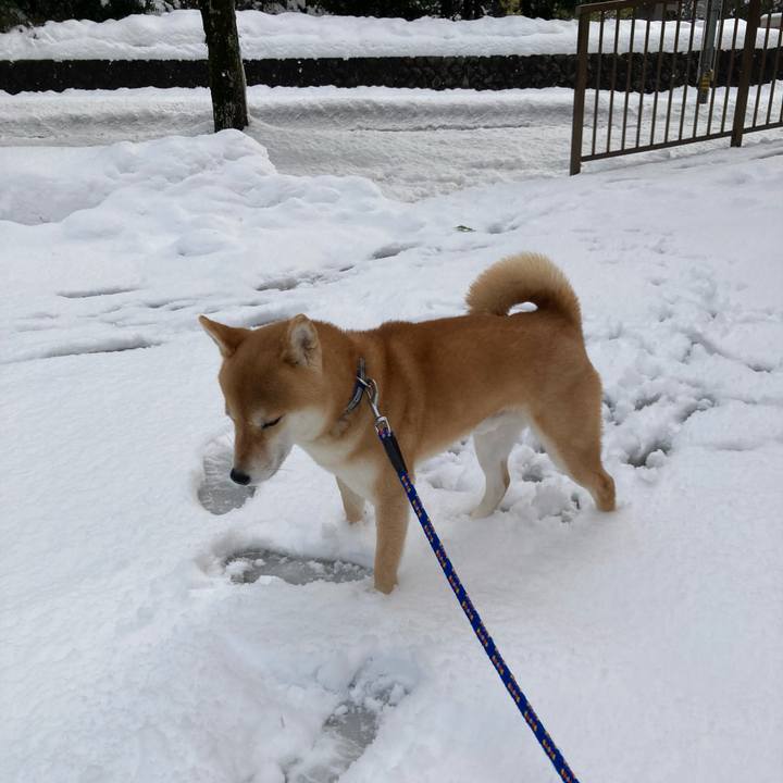 4a6801cd c000 4da1 95a0 67f2d528dd28 1674893078456