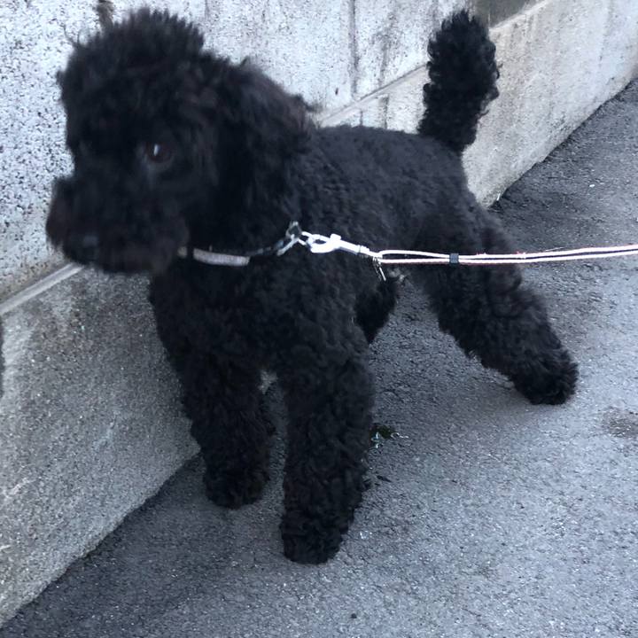 4a6810a3 7f74 424d 9786 e2ecdb2e1613 1534717867858