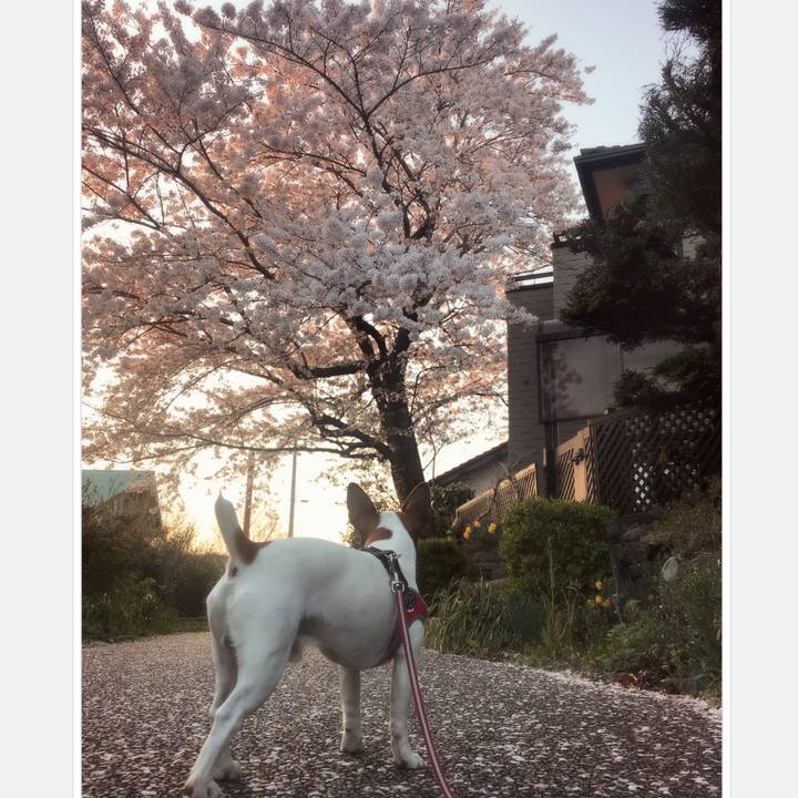 4a68290a 5b68 4805 90cc edaa7f80a7c7 1522408419605