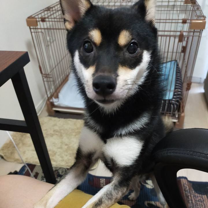 4a682c01 e7c9 41df 9a0b 564b298f1d6f 1598317518081