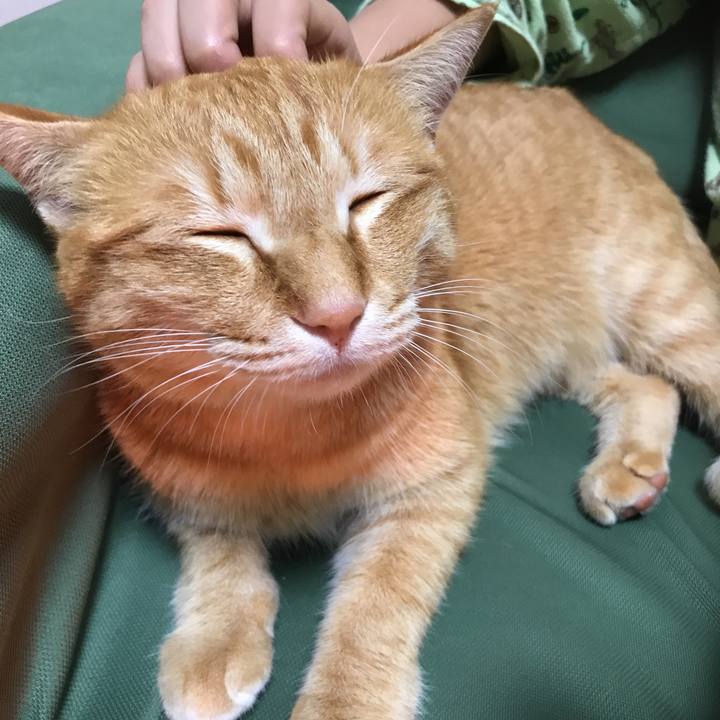 4a684c55 c721 491b ab22 89854d2b9856 1549442153968