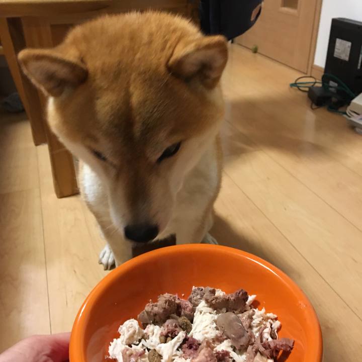 4a68768d ce69 4a75 8d14 a2f0f91d53c8 1517651118213