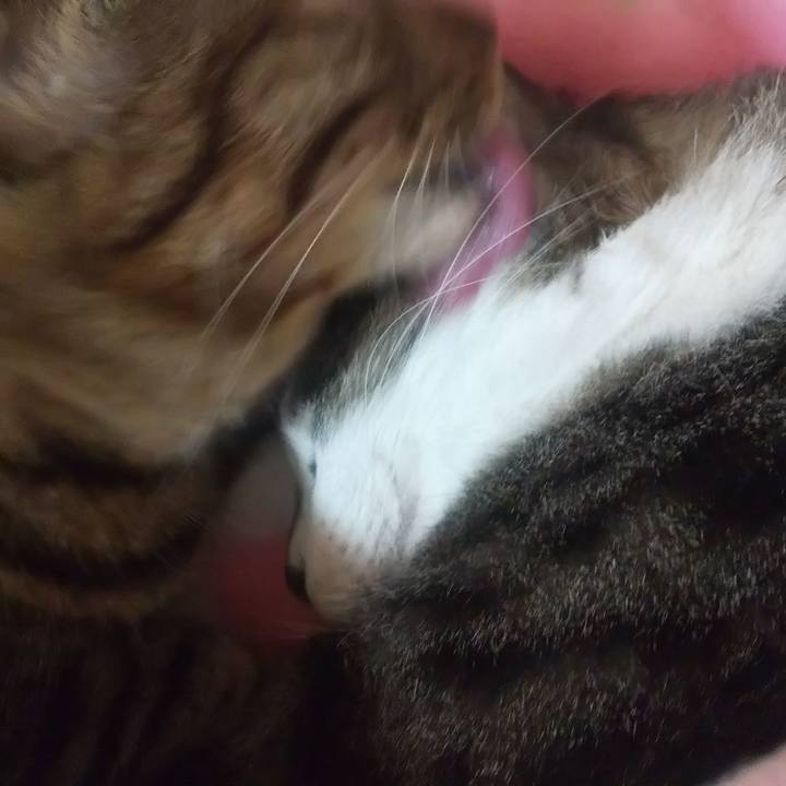 4a6898d7 75a9 490a ba3b df6ee62eb924 1673707084937