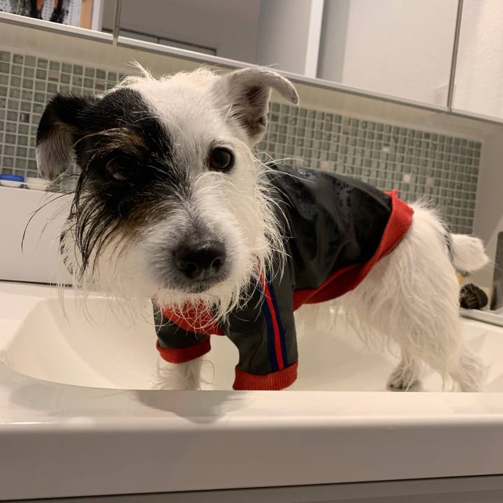 4a69536c 035a 4fb2 b8d6 d2381e3f8462 1679791265947