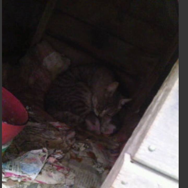 4a695e20 8a77 44a8 aafd 5185c212c320 1551571001420