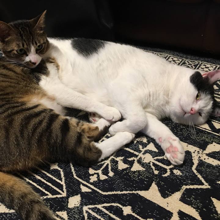 4a69662e be50 42c8 82c8 3a2928407465 1561936674817