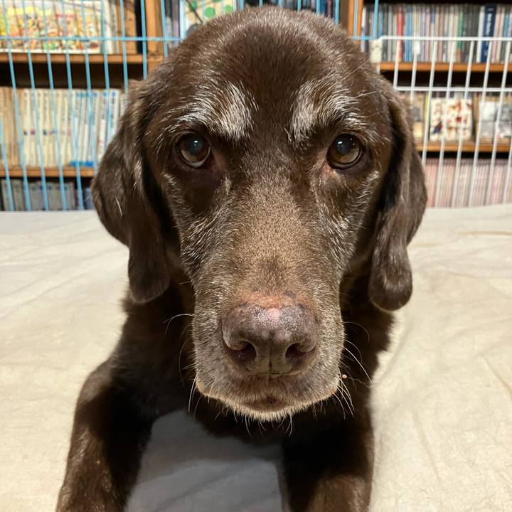 4a696869 1eef 4f6e b98e 9212ecbeff4b 1761469253874